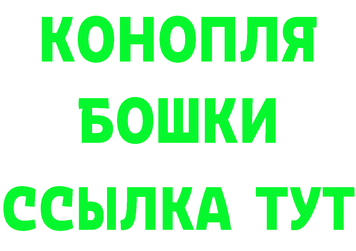 A PVP СК КРИС вход площадка мега Россошь